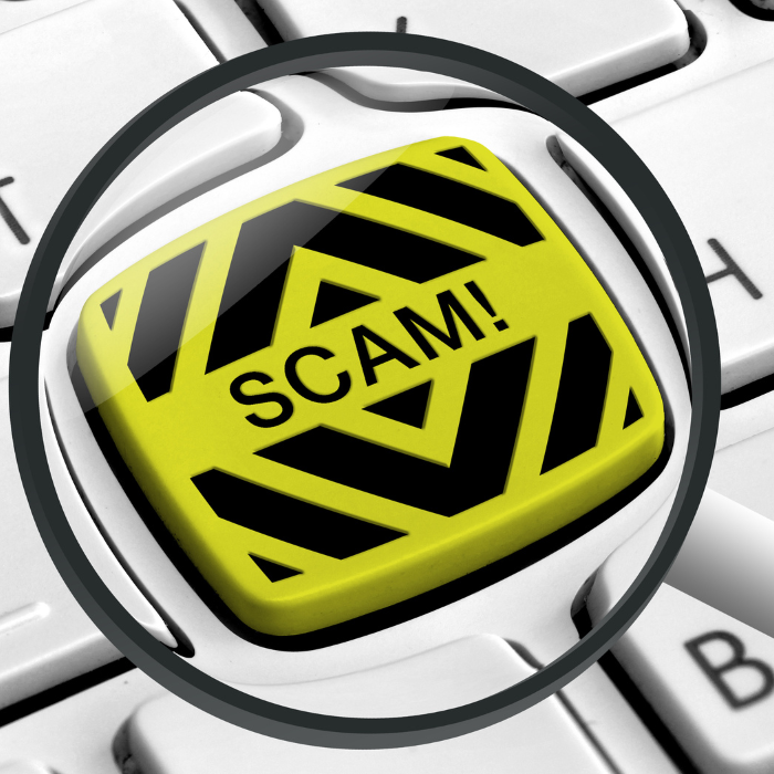 BlockXFx Review: What You Need to Know Before Investing